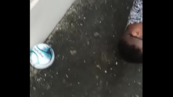 &Aacute;rabe de salto Alto  