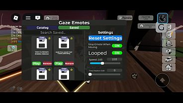 V&iacute;deo de verificaci&oacute;n