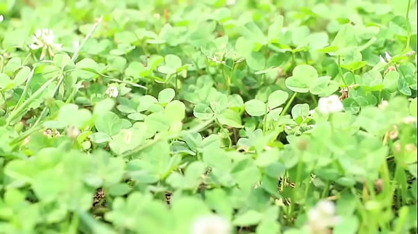 336KNB-068 full version https://is.gd/f84F0e　cute sexy japanese amature girl sex adult douga