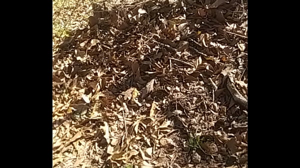 Detailed fantasy description  