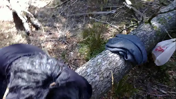 Serving it&rsquo;s correct purpose in life and so much happier that it has found true meaning