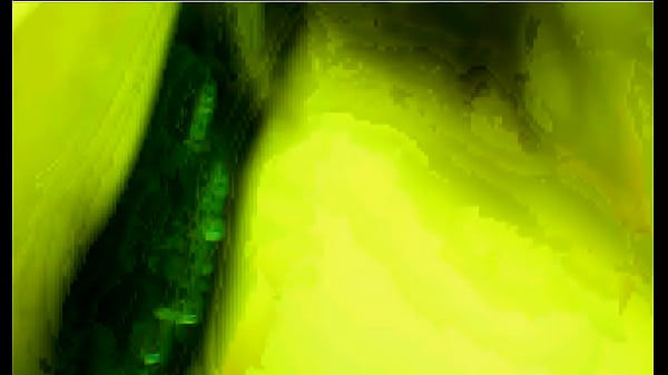 Perra del MSN espa&ntilde;ola LAURA