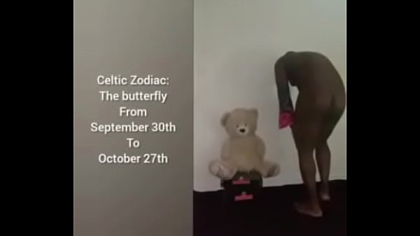 More ways to describe how and why the scorpio zodiac can still be a butterfly although they are a teddy bear, a wolf, also a boar sometimes as learned from online research for free and for fun