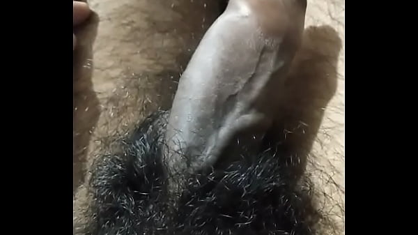 Indian cock rubbing