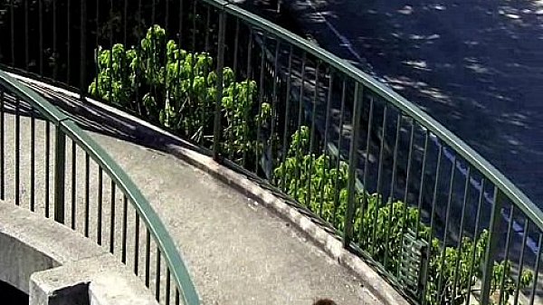 What A Fucking Jackass