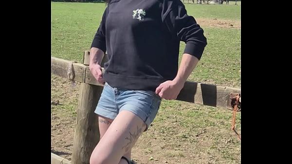 Demelza - update #11 - 20250406 132953 - Apr 06, 2025