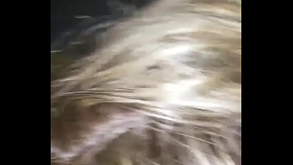 Milf sucking young cock