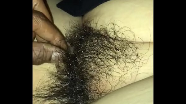 Bushy Mexican pussy