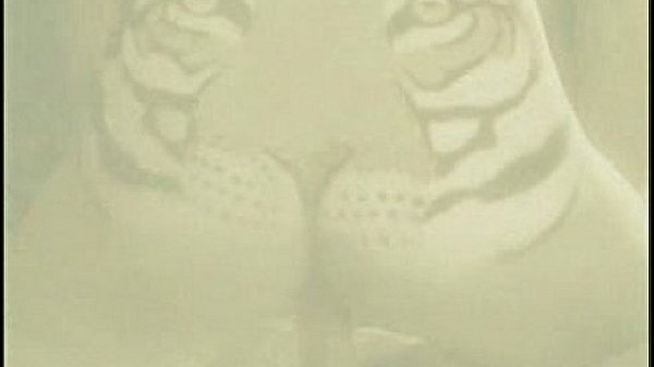 3 lesbians fucking all together