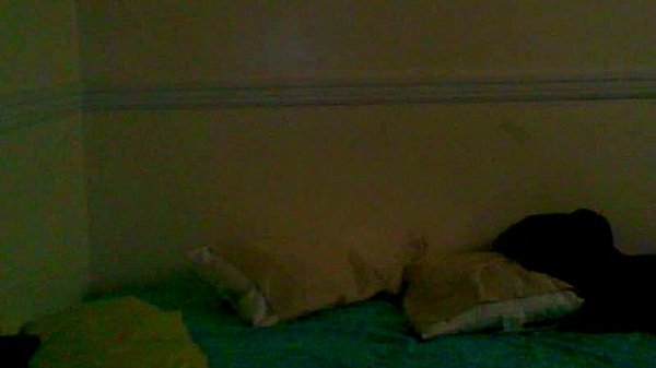 Brazilian whore loves cumming in my mouth