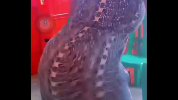 Video de v&eacute;rification  