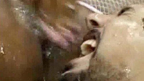 Interracial-Teen-Squirting  