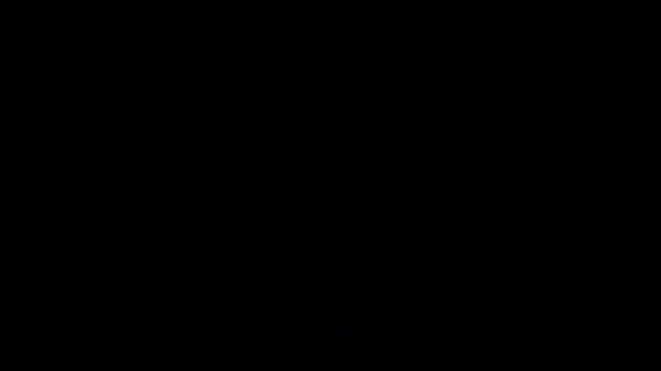 O sexo mais longo of my life