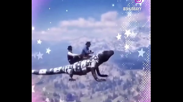 V&iacute;deo de verificaci&oacute;n