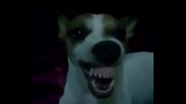 more videos about she?  