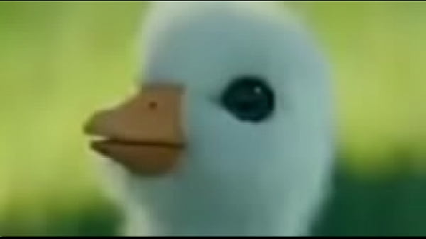 Soy gau y putito shitpost terminan follando alv  