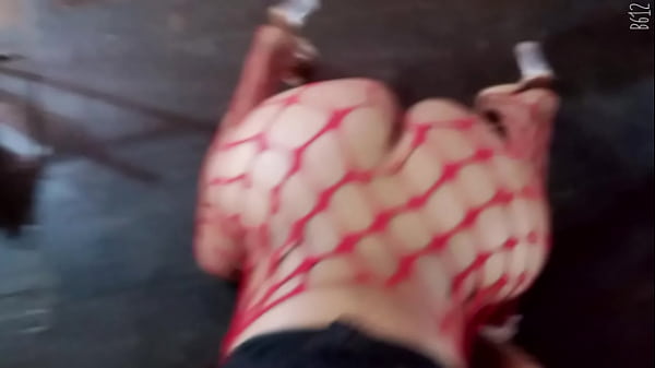 Perrita se deja grabar por 5000 d&oacute;lares