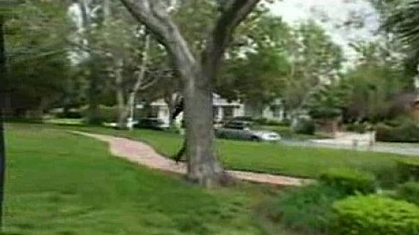 young girl want mommy s friend 