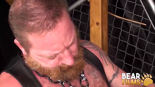 Fetish Cub Dicked By Bear Cock  