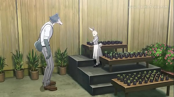 Subtitulado Beastars Capitulo dos