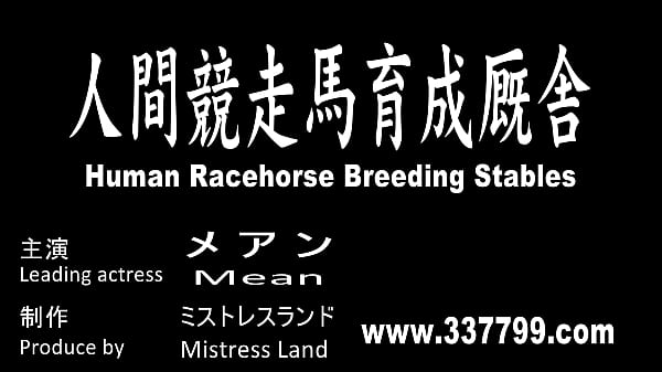 The Dominatrix's Exclusive Human  