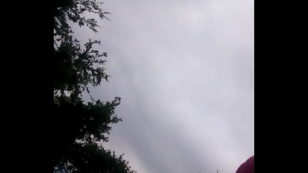 Blow job in harker heigths park