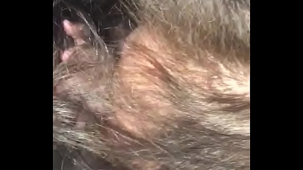 La de Israel tragandocela toda y mordiendome la verga...