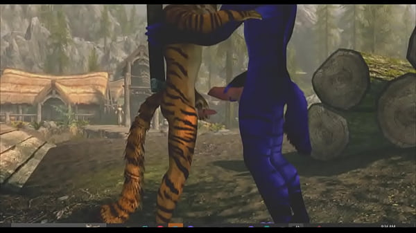 Skyrim Exhibitionist 