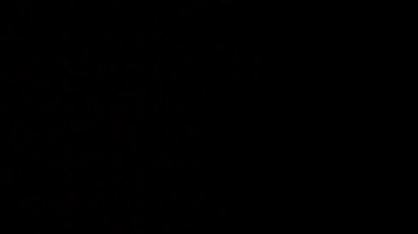 LAS EJECUTIVAS (BUCARAMANGA)