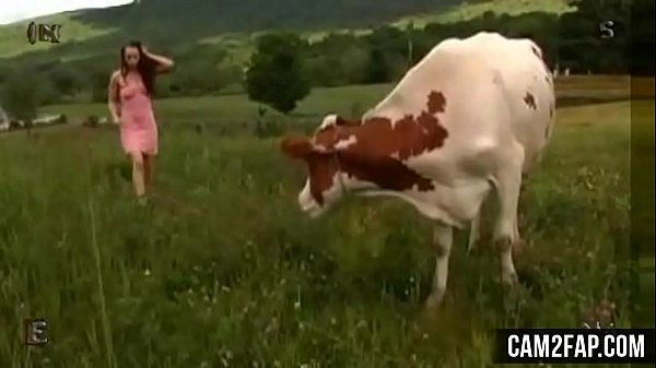 Hardcore Bondage Pt1 Free BDSM Porn Video