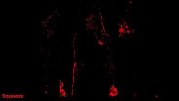 Lily's Forbidden HFO Ritual (Squeeze Training #3)  