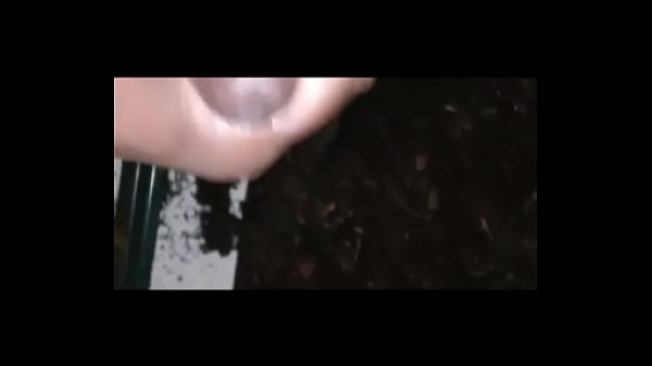 More videos that have the song 20 for sex I created for free in them that reminds me of some things I don't do all the time 5