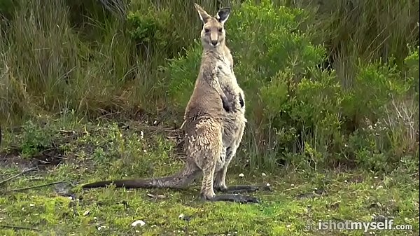 Vimeo# home page-1 filter-all format-video