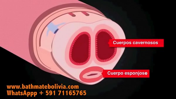Bathmte para engrosar el pene