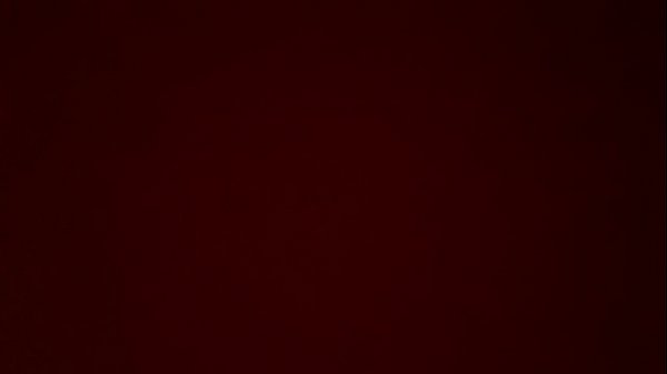 Mrs. Trouble playing with herself