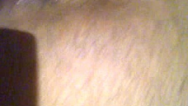 Video0001[1]