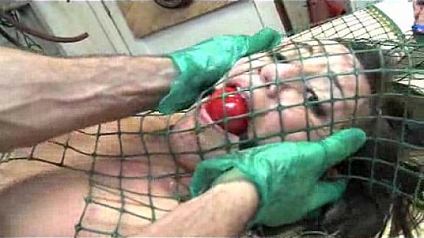 Brooke's Little Workshop Of d.  