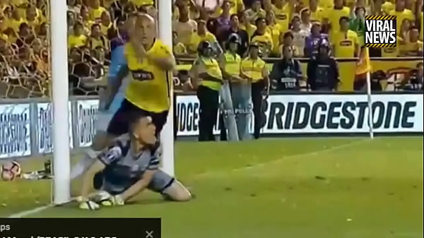 DEPOIS DE CONTRA EQUATORIANOS O GOLEIRO FAZ ESSA DEFESA PORNOGRAFICA