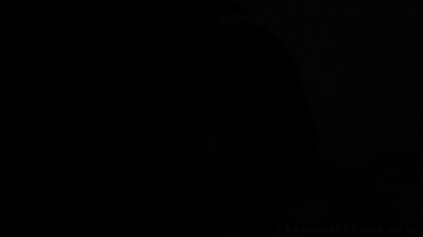 Busty shemales fucking passionately