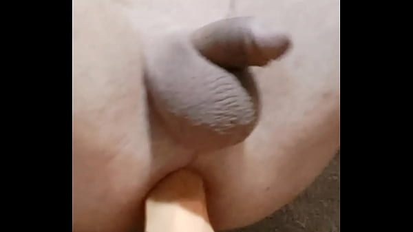 big dildo my ass small ass 