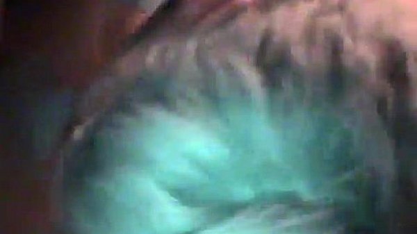 Gay movie But this time, Trace has sweetie Nathan all to himself