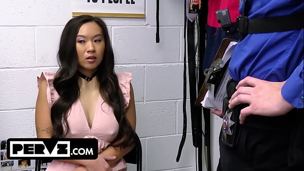 Case No. 7906215 - The Boob Thief