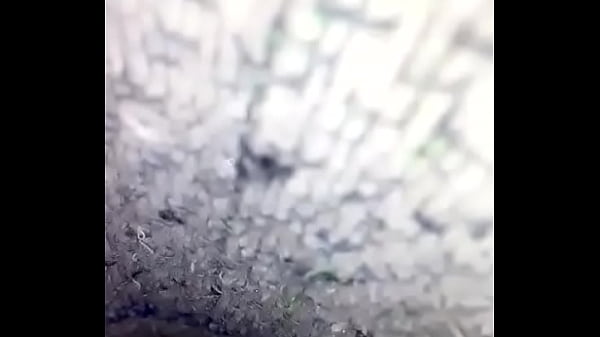 Masturbandome con las bragas de mi hermana