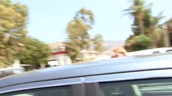 Faye Valentine - For Cash