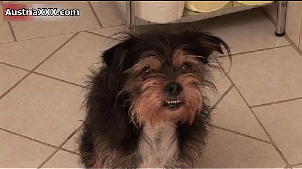 Nasty old bitch gets her cunt fucked