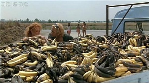 Paola iovinella i buchi neri