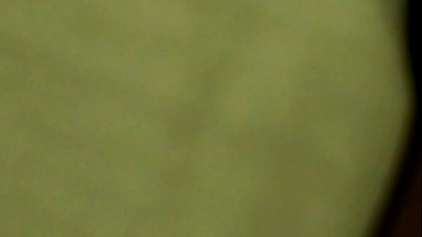 Jessica culona infiel comadre