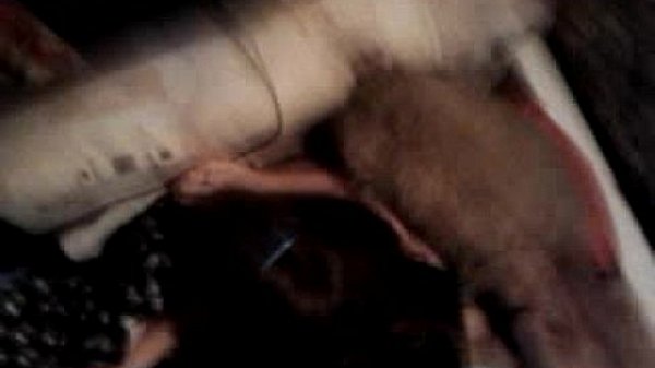 video-2014-08-27-15-57-24 