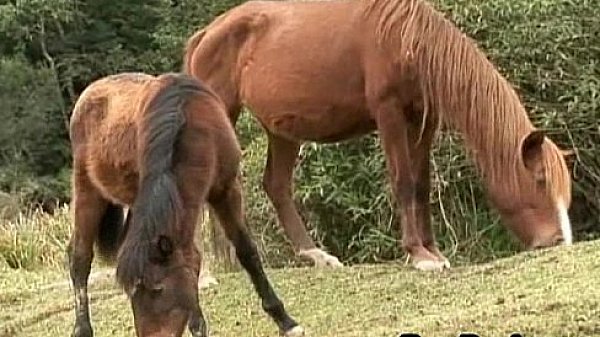 Horny Sexy Latino Gay Anal Pounding Hardcore