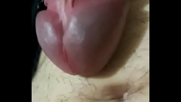 Huge one are back again 23cm